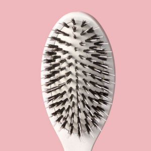 Hollywood Hair Detangle Brush – Professional Detangling Brush